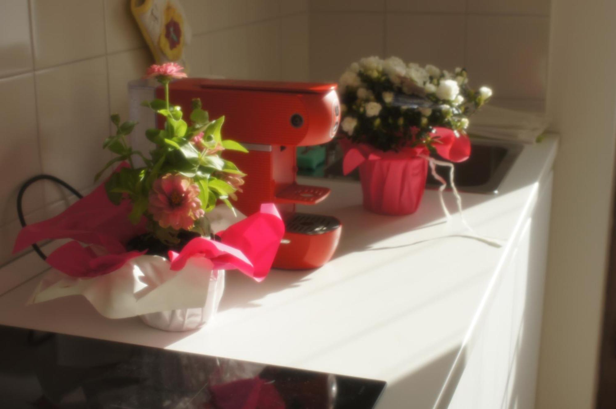 Geoglobe Apartment Pisa Ngoại thất bức ảnh